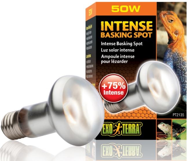 

Intense Basking 50W Żarówka Grzewcza Od Exo Terra