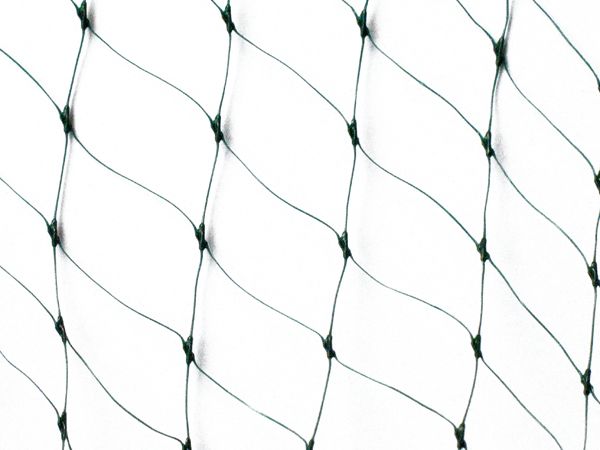 

Siatka Przeciw Ptakom Szpakom Ptaki Szpaki 6x20m