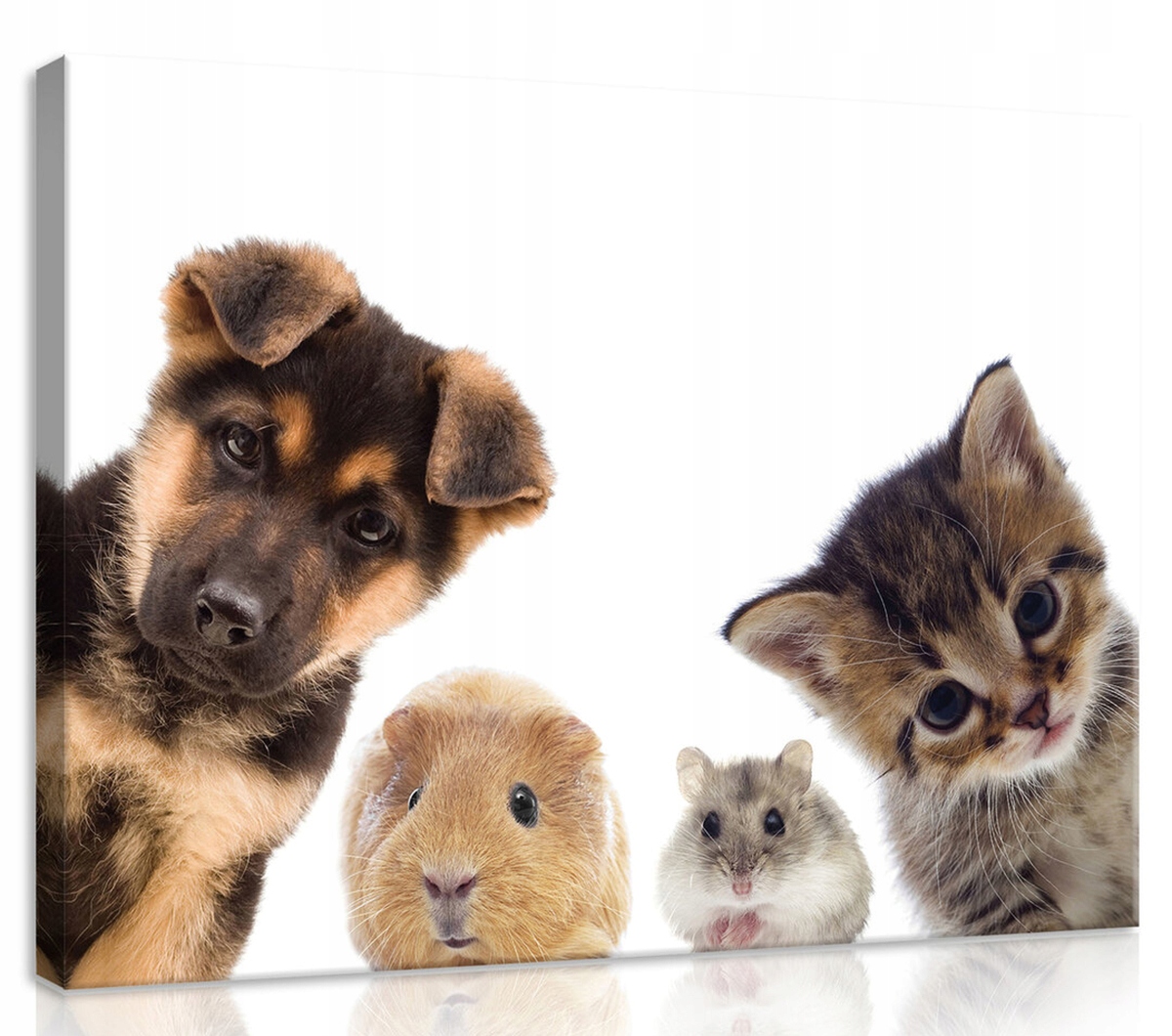 Obraz Na Plátně Canvas 80x60 Malá Zvířátka