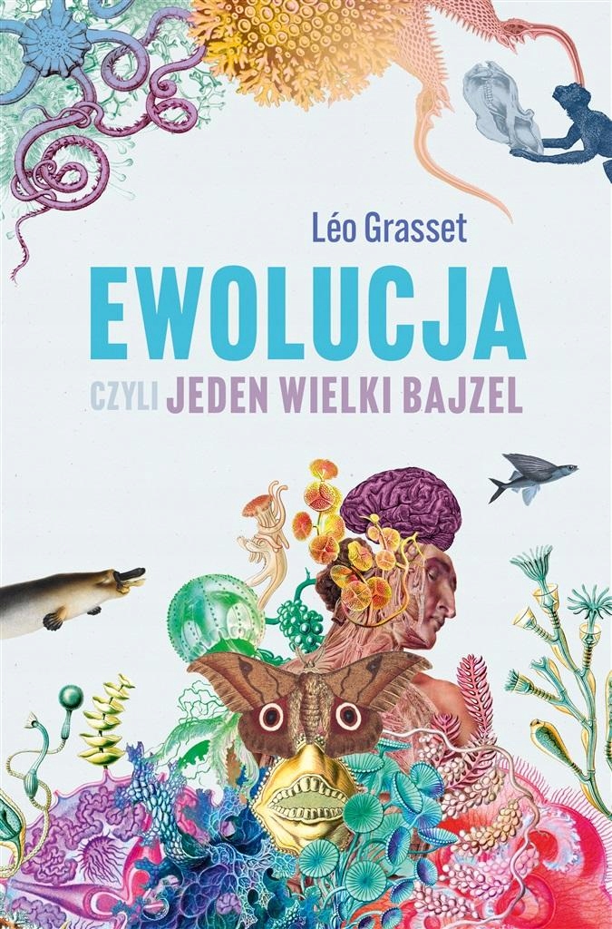 

Ewolucja czyli jeden wielki bajzel