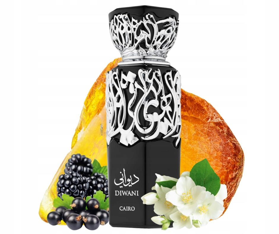 Arabské parfémy unisex French Avenue Diwani Cairo Edp 100 ml