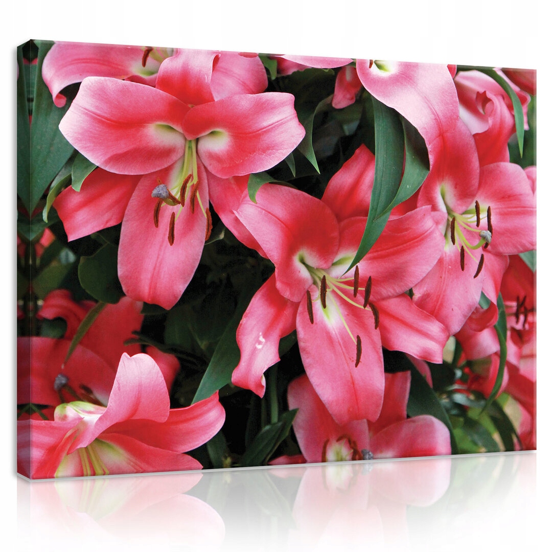 Obraz 100x75 Růžové lilie květiny příroda svěžest krása léto zahrada