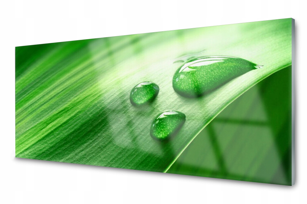 

Panel szklany do kuchni Liść Woda Krople 125x50