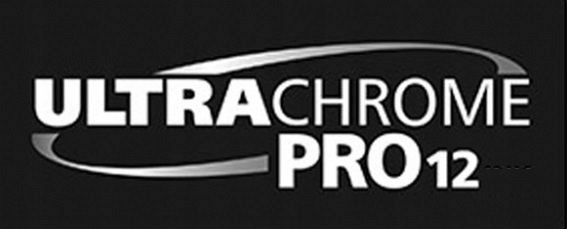 Singlepack Light Cyan T44J540 UltraChrome Pro 12 700ml C13T44J540