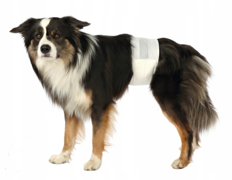 

Pieluchy pampersy psa samca Barry 30-46 12 szt. S