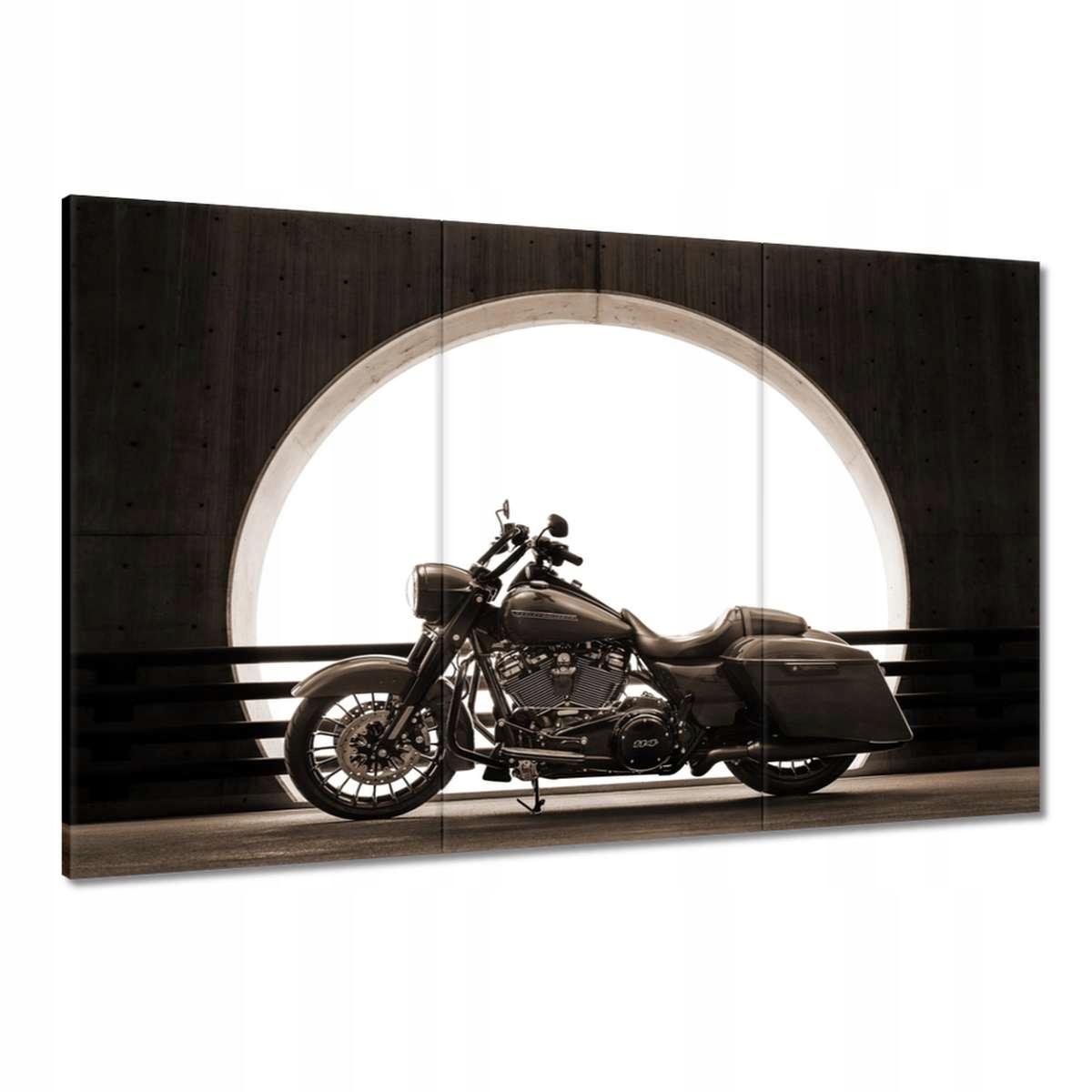 Obrazy 120x80 Harley Davidson Motocykl