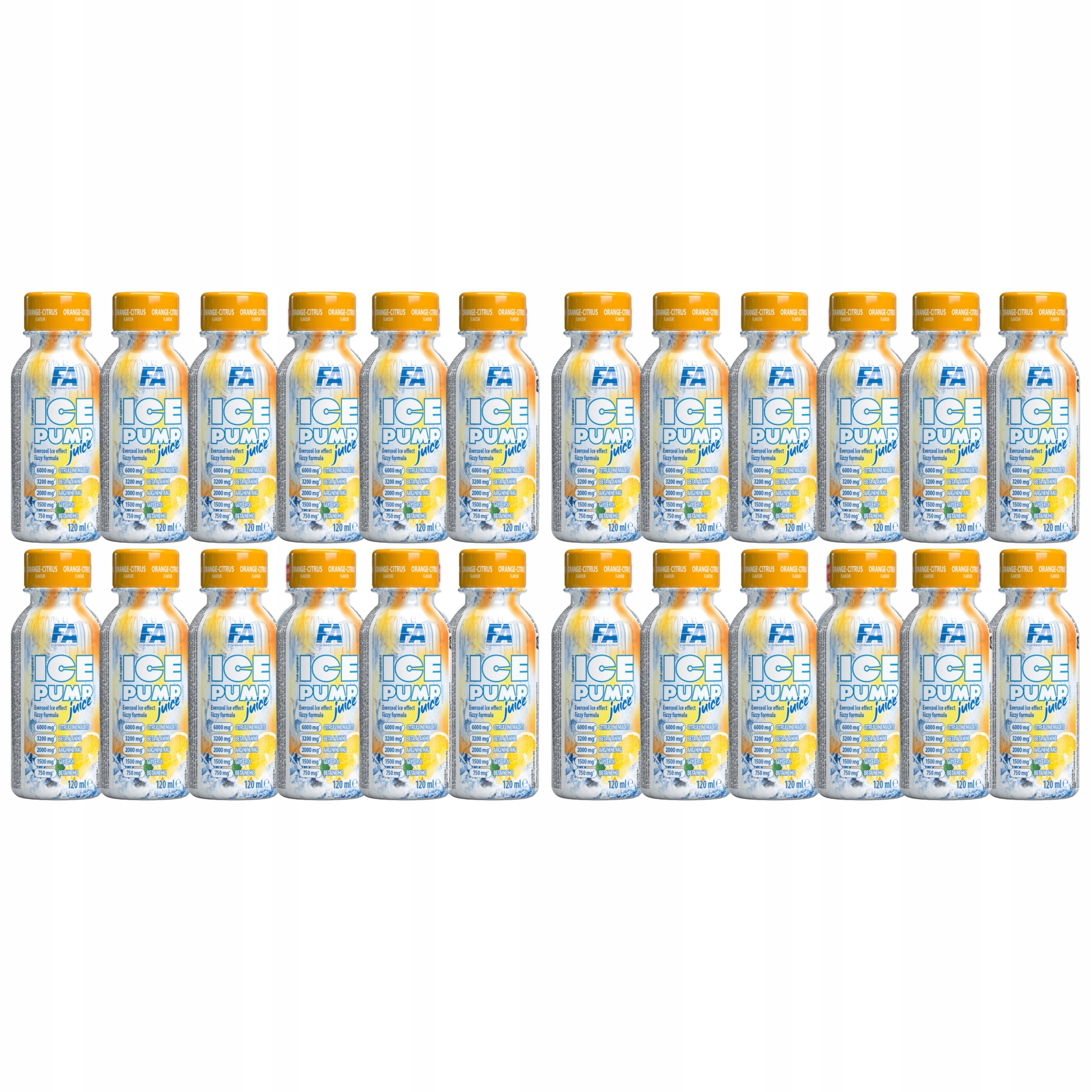 2x Pump Juice Citrulin Kofein Beta-Alanin Pre-Workout 12x120 ml Fa