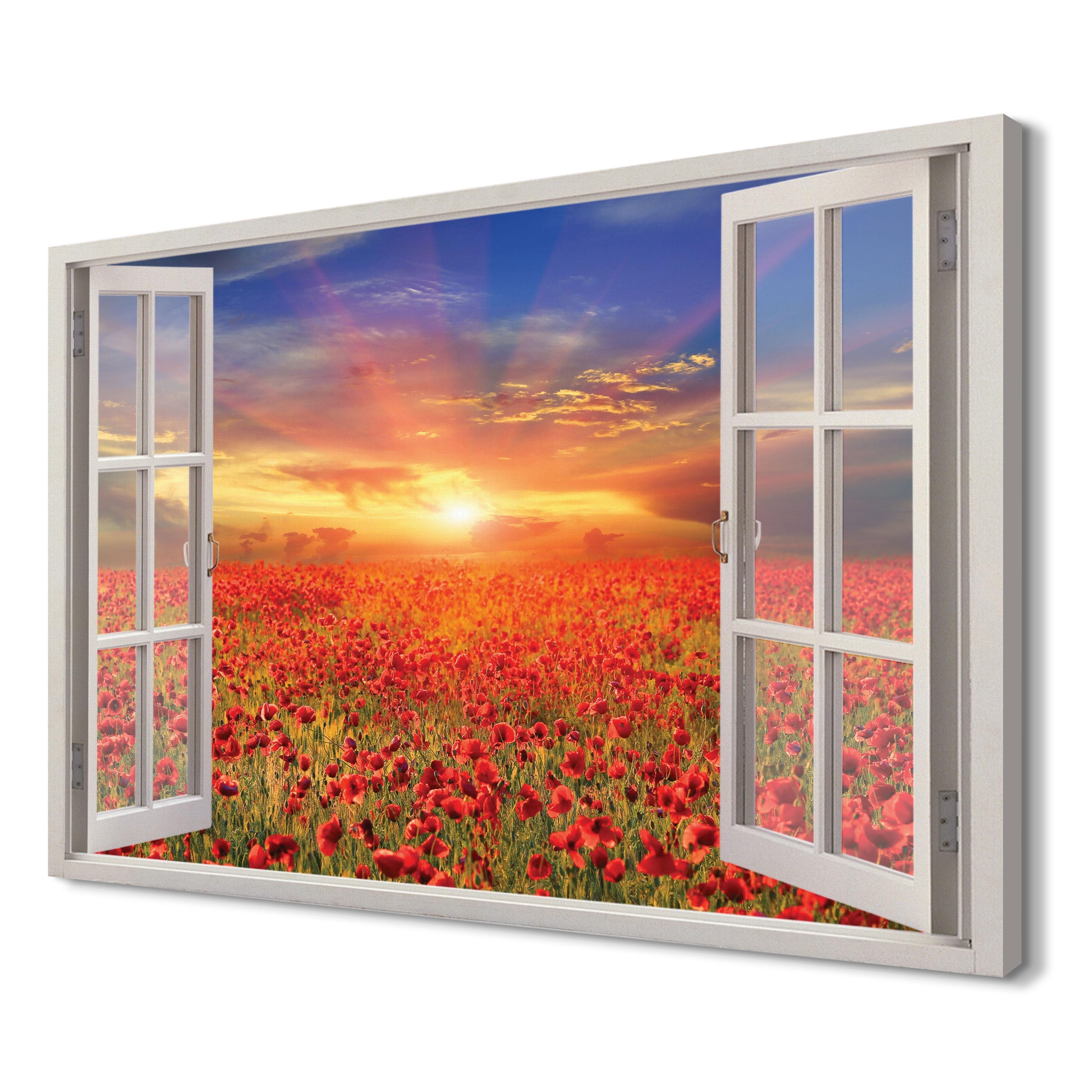 

Pole Maki Fotoobraz na płótnie 3d 120x80 dekoracja