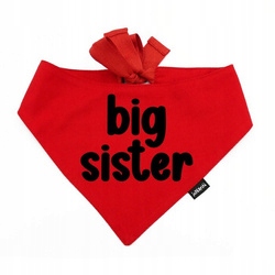 Levně Nákrčník pro psa Big Sister Psiakrew L