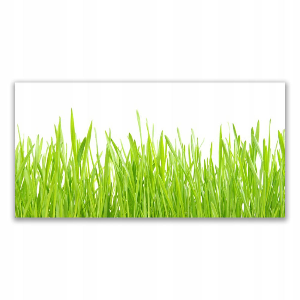 

Obraz akryl na ścianę 120x60 Trawa Natura Roślina