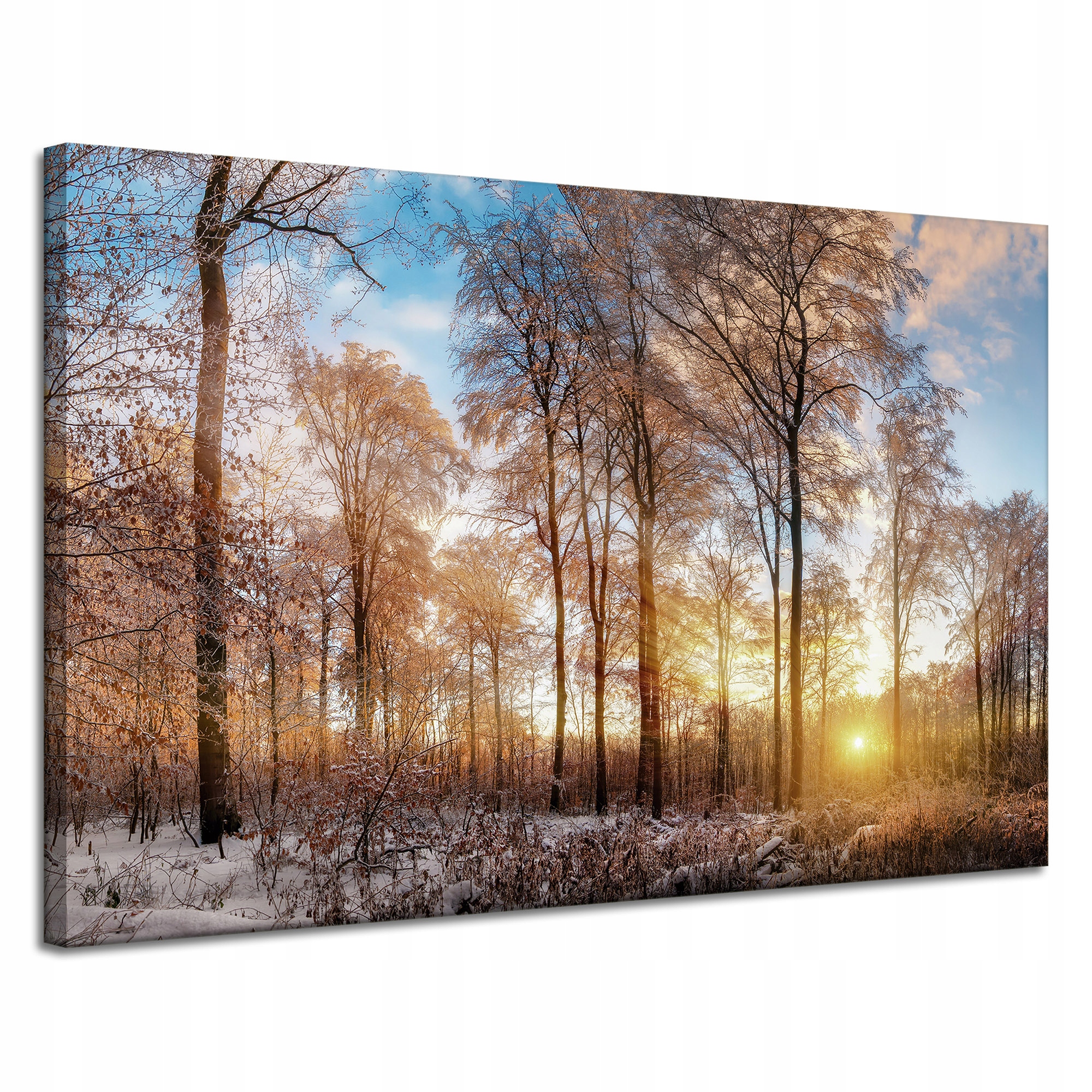 Obraz na plátně Stromy Zima Vycházející Slunce 120x80 cm