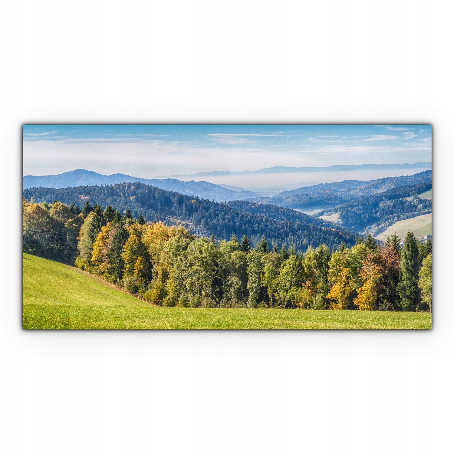 

Obraz na płótnie na ścianę 100x50 Las Góry Natura