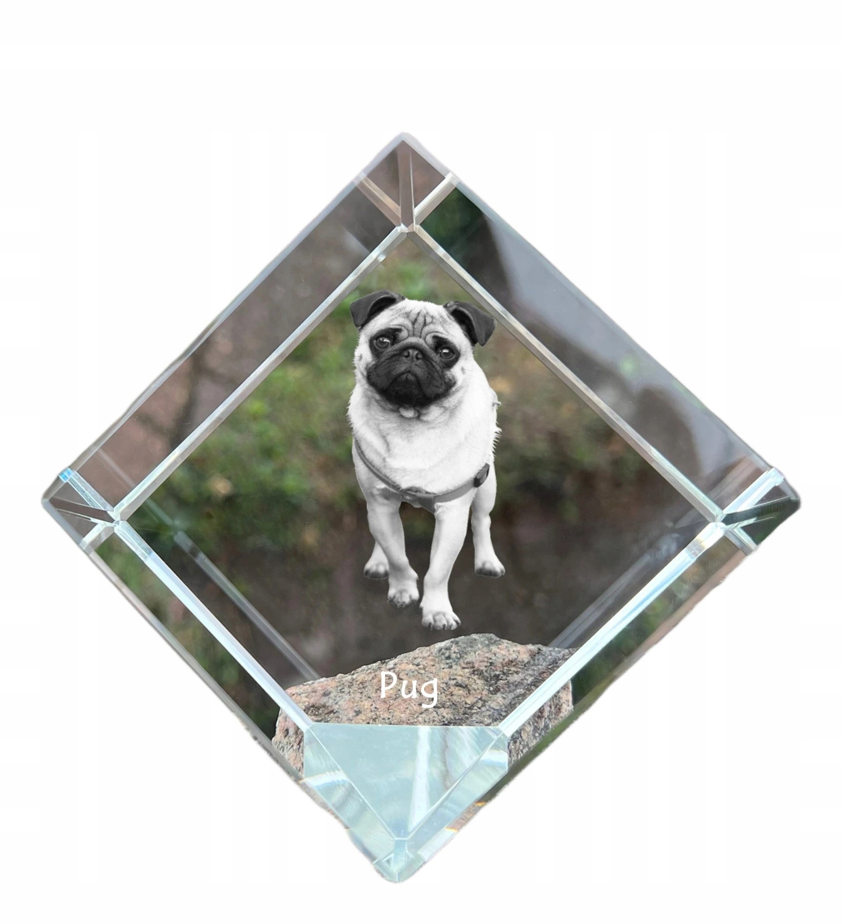 Mops, Pug krištáľová kocka s fotografiou psa, ozdoba na stôl, tlačidlo