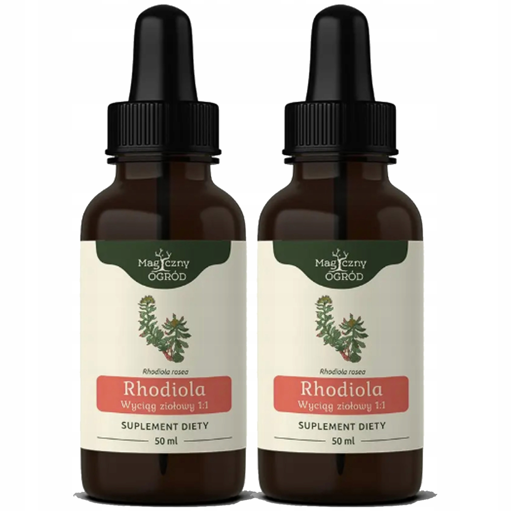 Nanga Rhodiola Różeniec Górski wyciąg 50ml wsparcie Koncentracja Energia x2