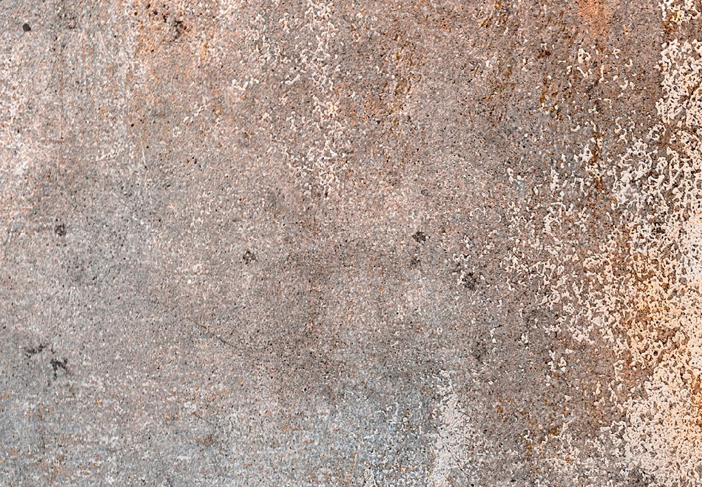 FOTOTAPETA BETONOWA ŚCIANA 400x280 f-C-0483-a-a Marka Murando