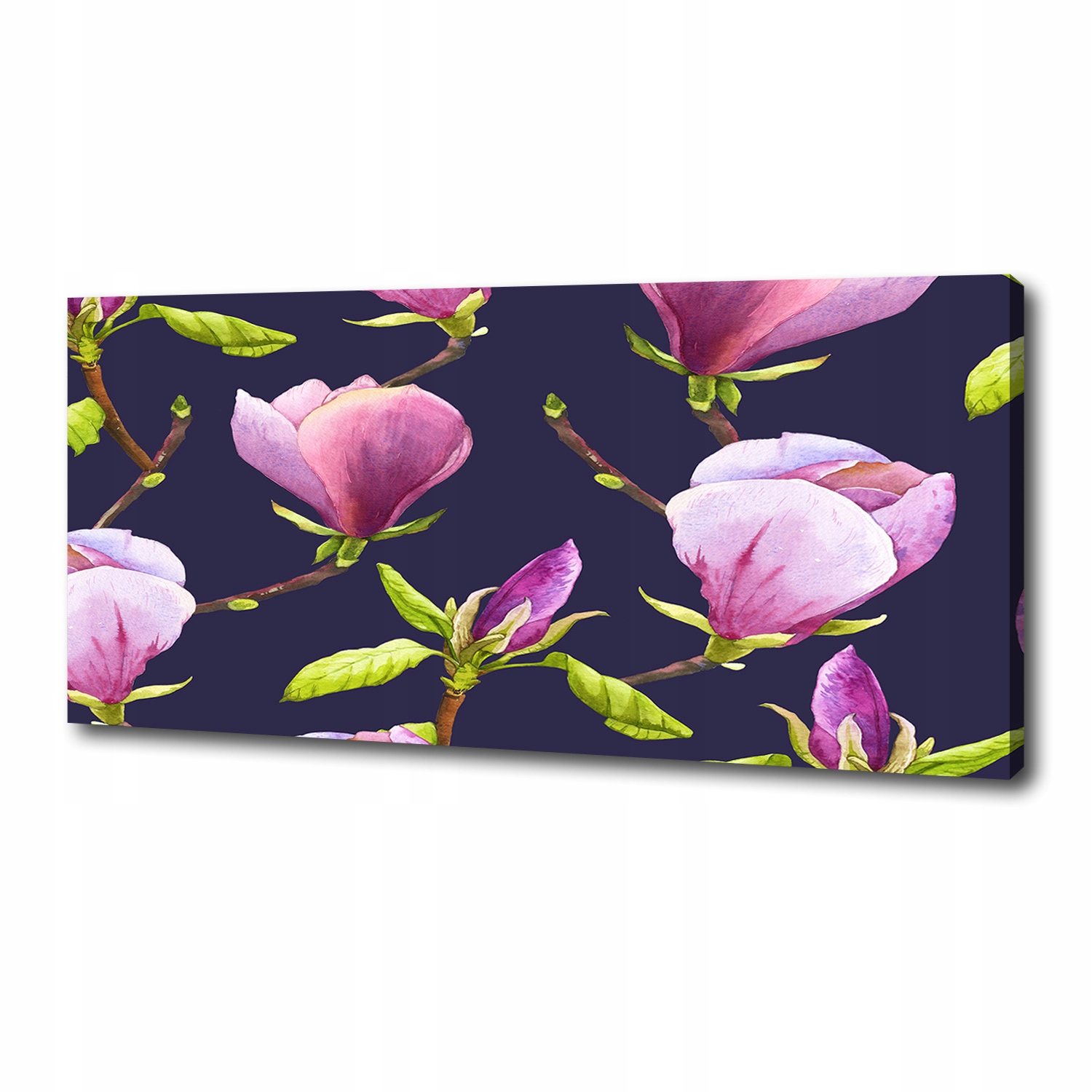 

Foto obraz canvas na ścianę Magnolia 125x50 cm