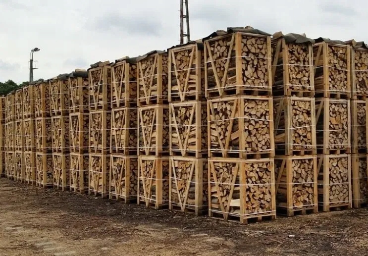 Drewno do kominka kominkowe do wędzenia ognisko grill opał BUK 20 kg Rodzaj drewna buk