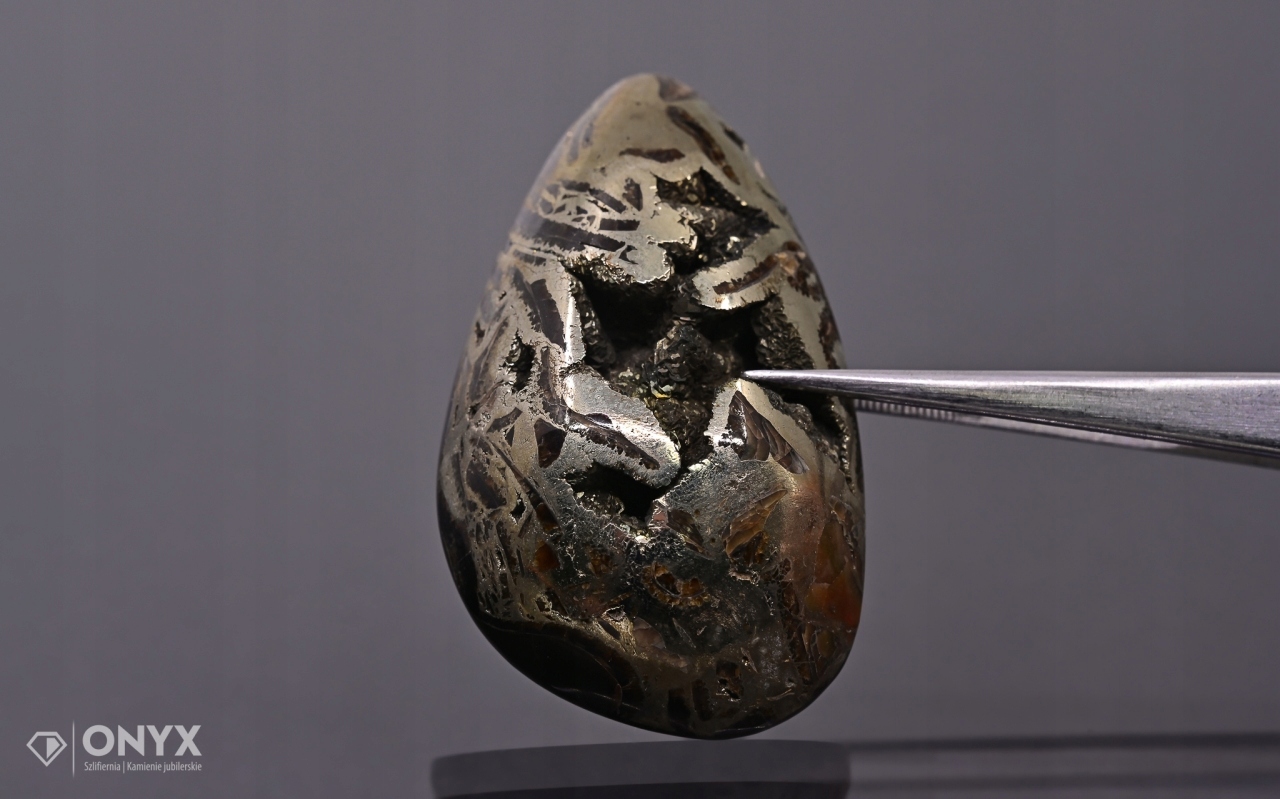 Amonit spiritizovaný nepravidelný 49x29 mm