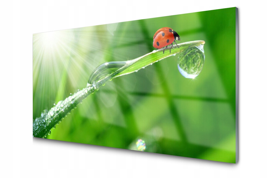 Skleněný panel dekor Tráva Beruška 120x60 Lepidlo