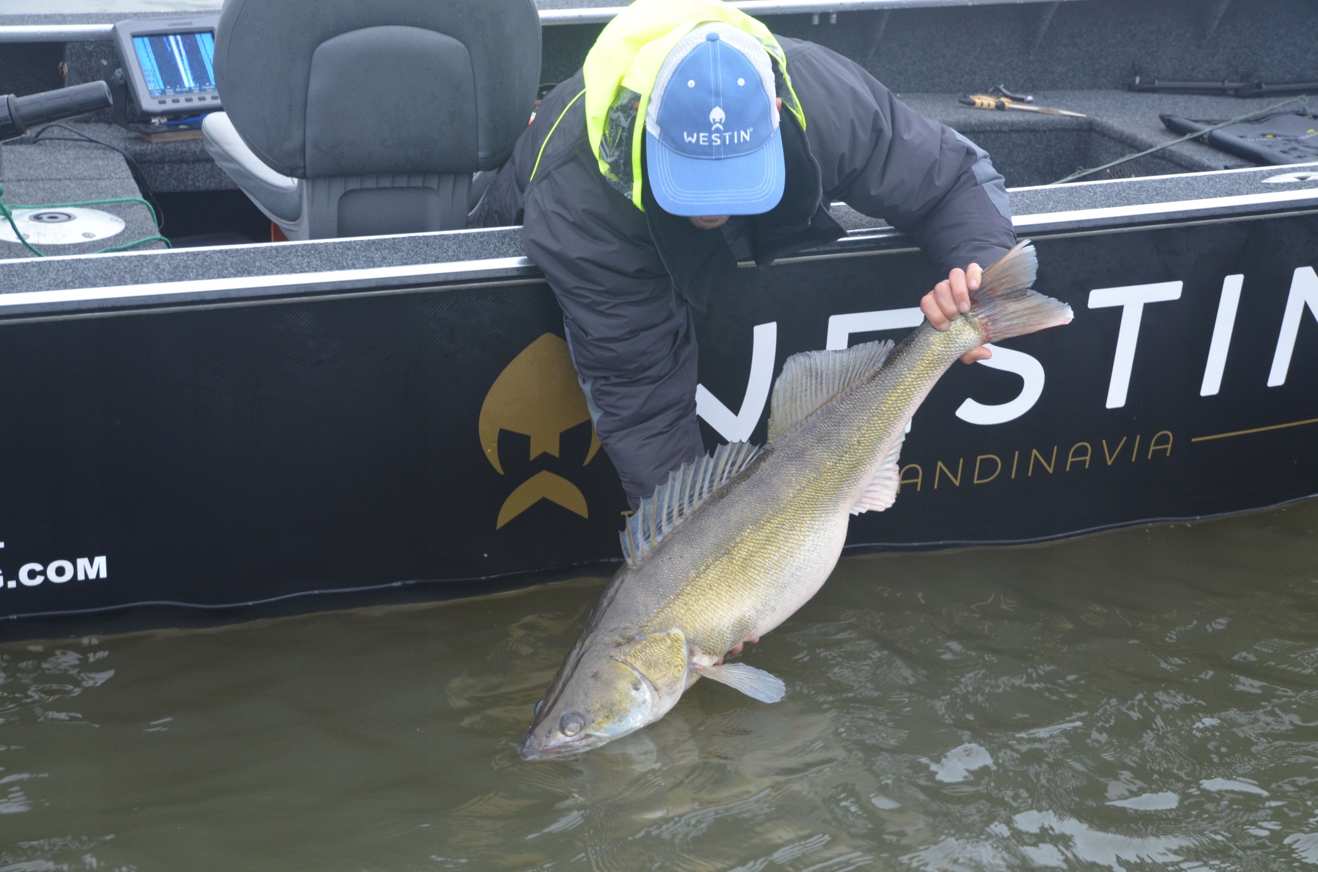 Westin ShadTeez Slim 10cm 6g kolor Lively Perch Liczba sztuk 1 szt.