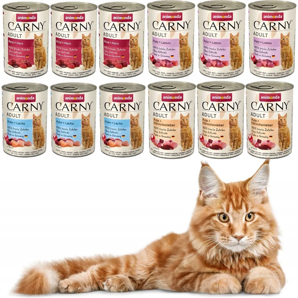 Animonda Carny 12x400g mokra karma dla kota