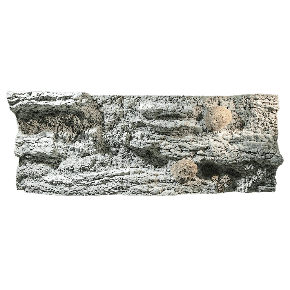 BTN Reef L 130x50cm tło strukturalne