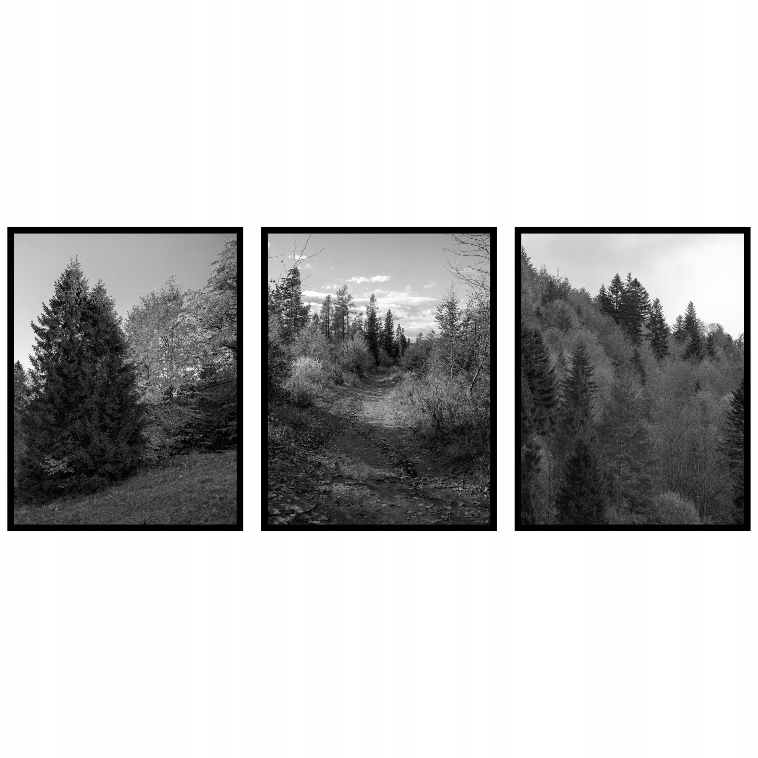 Stromy les Horská krajina Plagáty 3ks 60x90cm triptych panoráma fotografie