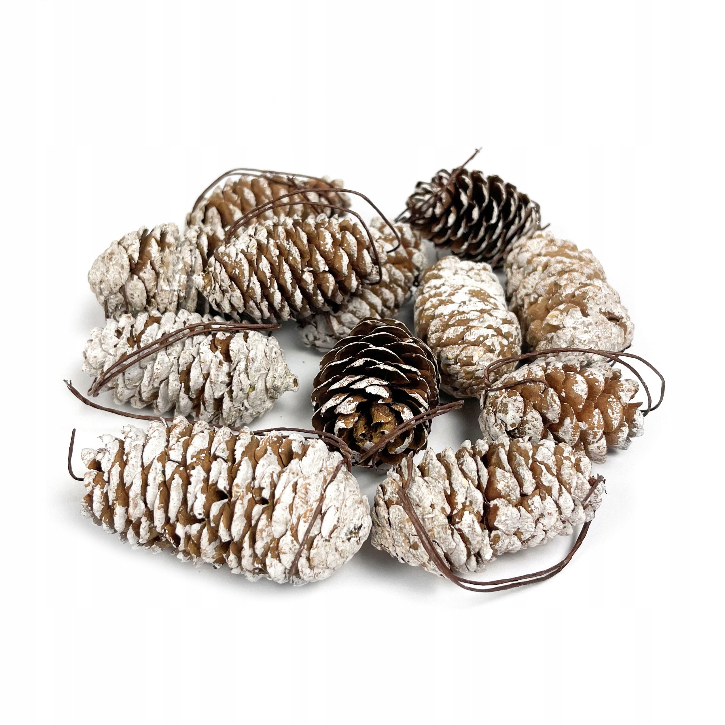 

Szyszki ozdobne sosnowe bielone 5 cm, 12 szt.