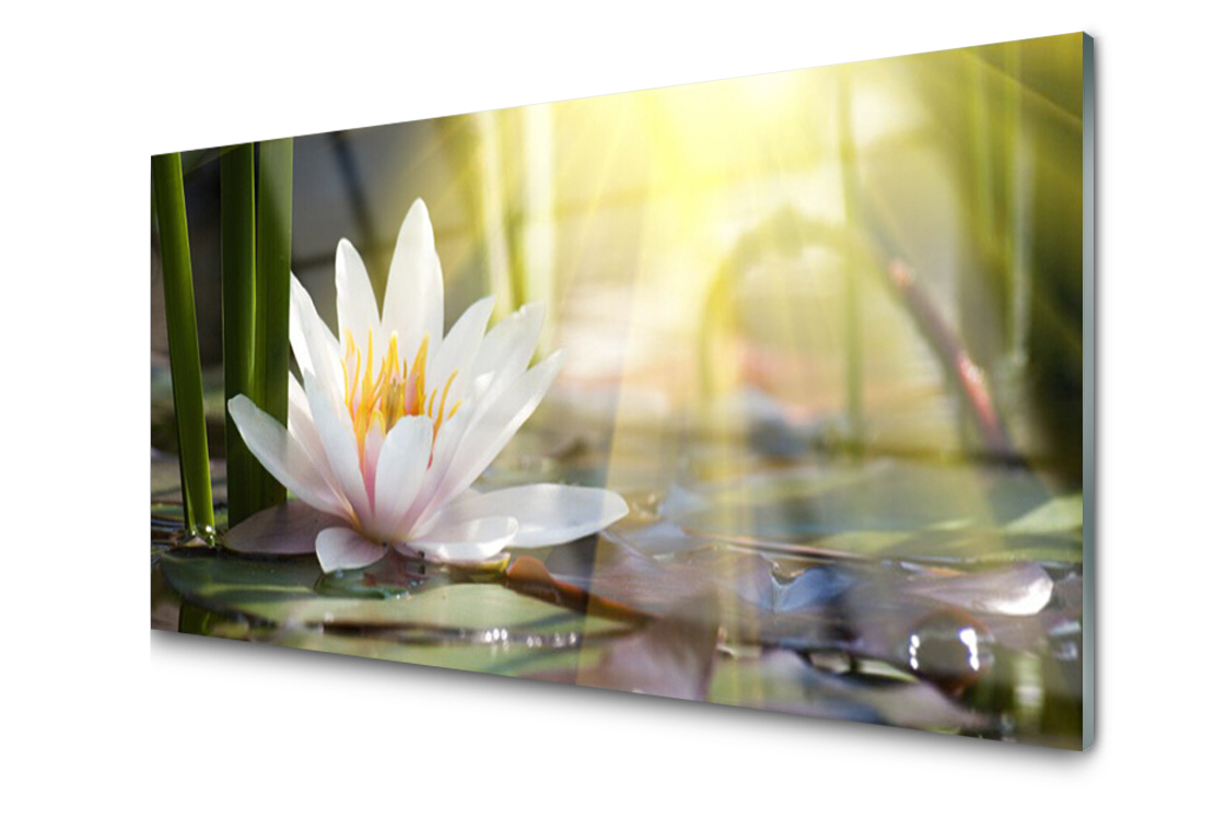 

Panel szklany Płytka Lilia Wodna 100x50