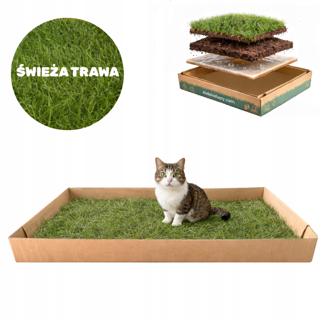Levně Toaleta pro kočky z přírodní trávy 100×50 cm ekologická toaleta