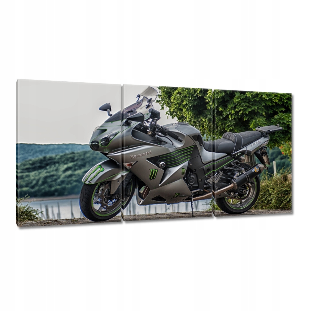 

Obrazy 120x60 Kawasaki Motor Motocykl