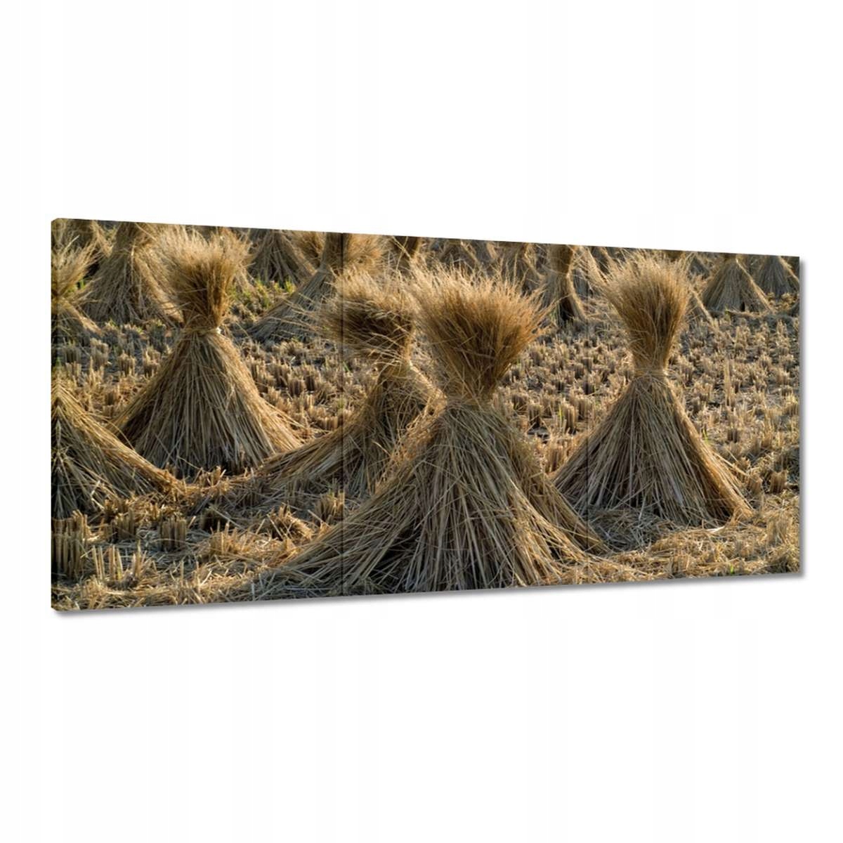 Obrazy 180x90 Chocholy