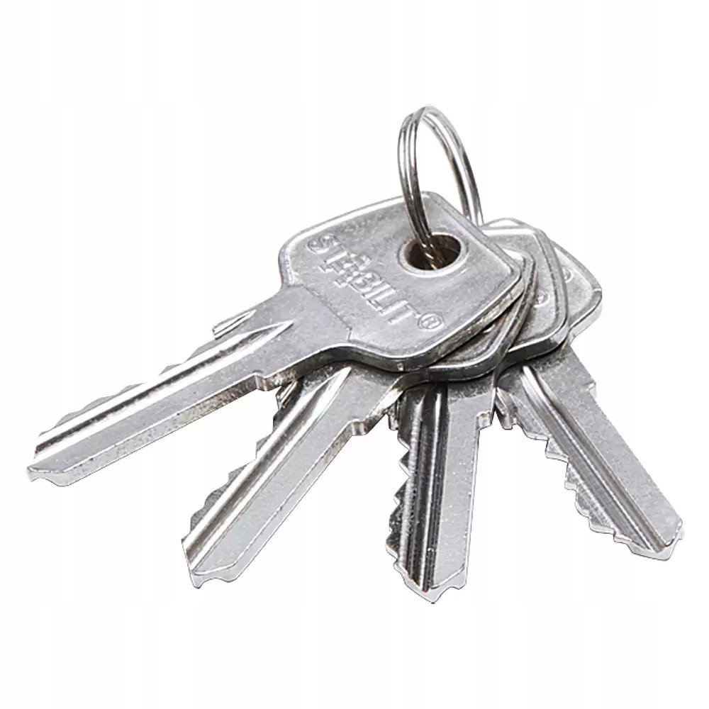 Profilová cylindrická vložka Extra, počet klíčů: 4 ks