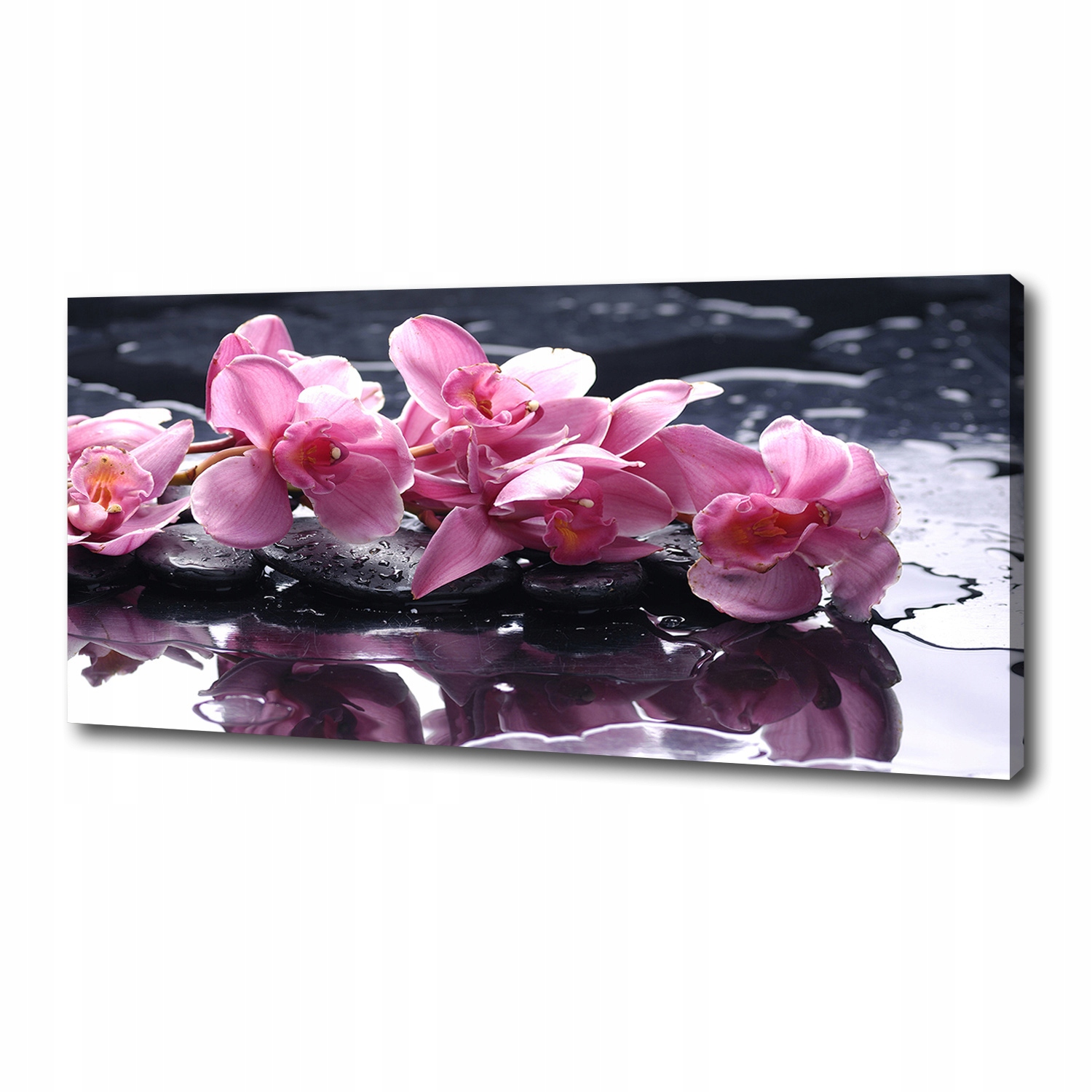 

Foto obraz na płótnie Różowa orchidea 125x50 cm