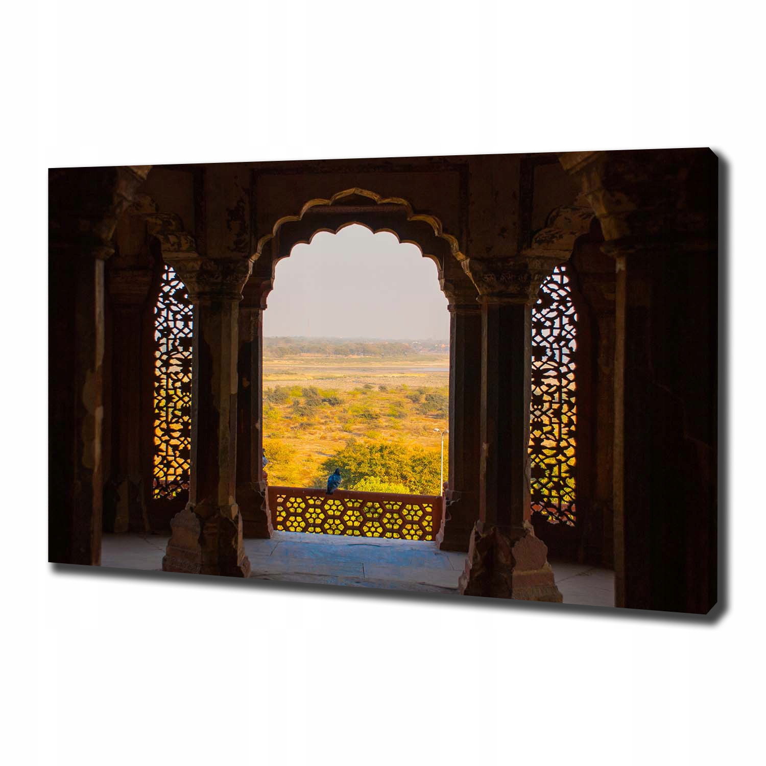 

Foto obraz na płótnie Fort Agra Indie 100x70 cm