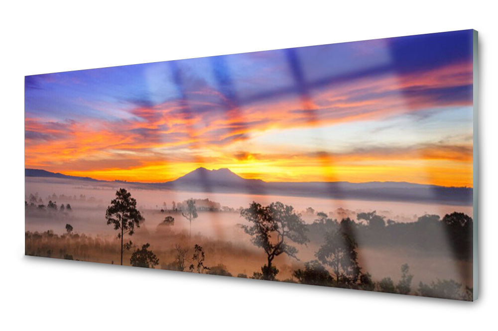

Panel szklany do kuchni Drzewa Mgła 125x50