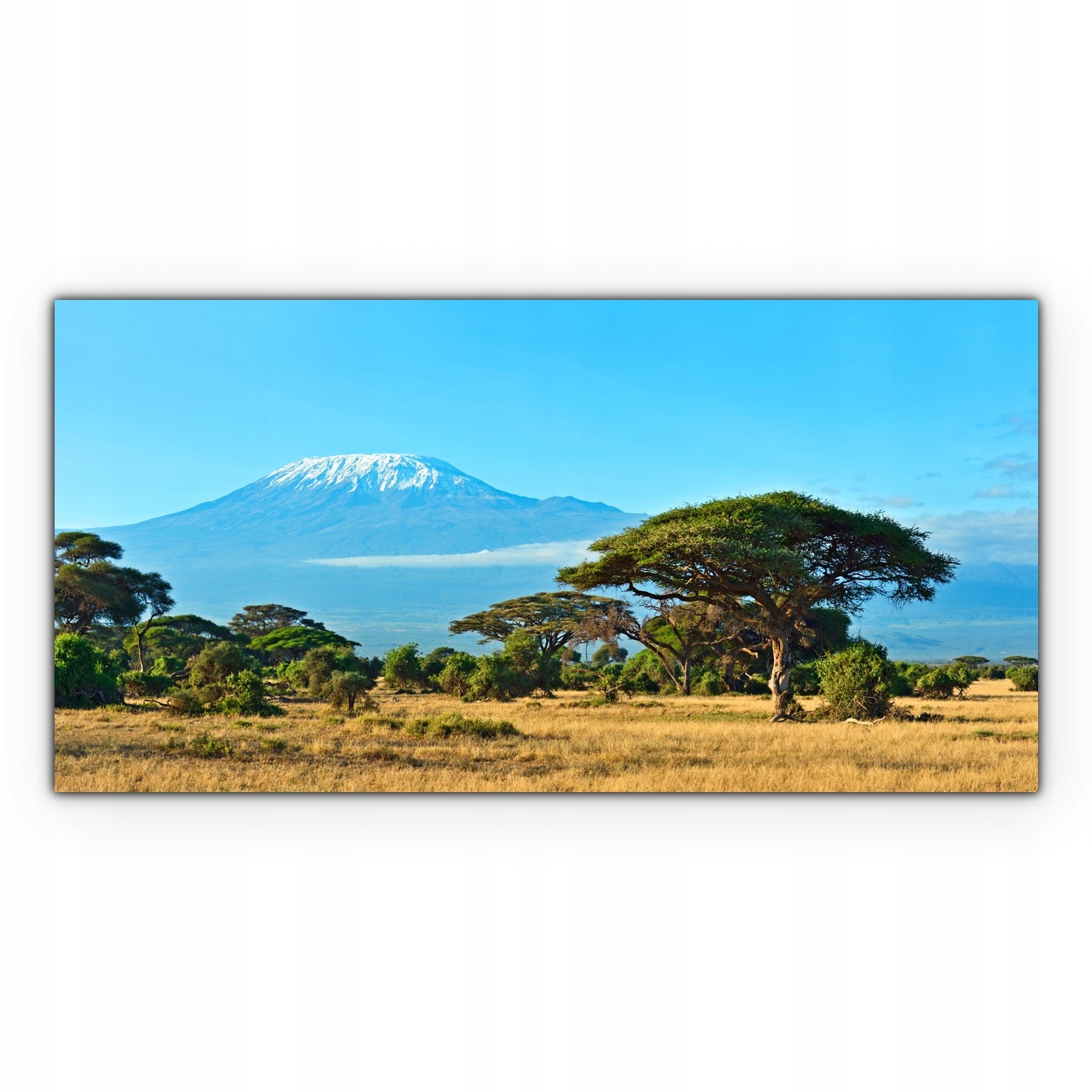 Canvas do ložnice 120x60 Národní park Amboseli