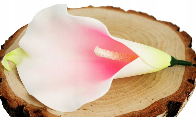 

Kalia Kalla Główka Wyrobowa Piankowa Ecru Z Różem