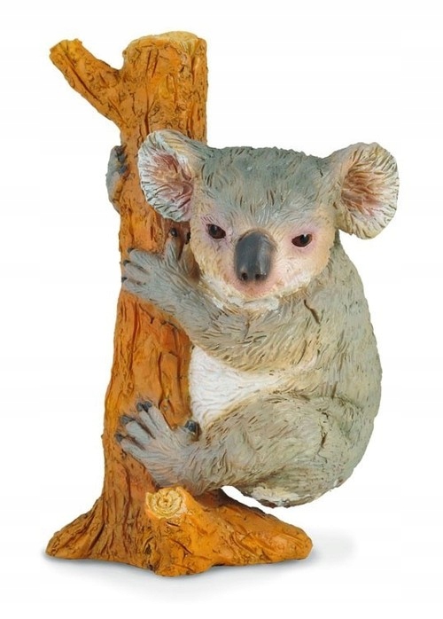 

Figurka Miś koala wspinający się M Collecta