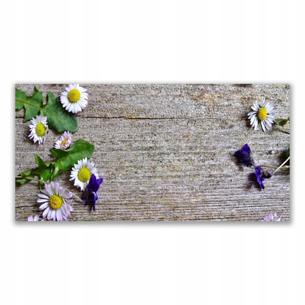 

Fotoobraz ścienny 120x60 Stokrotka Roślina Natura