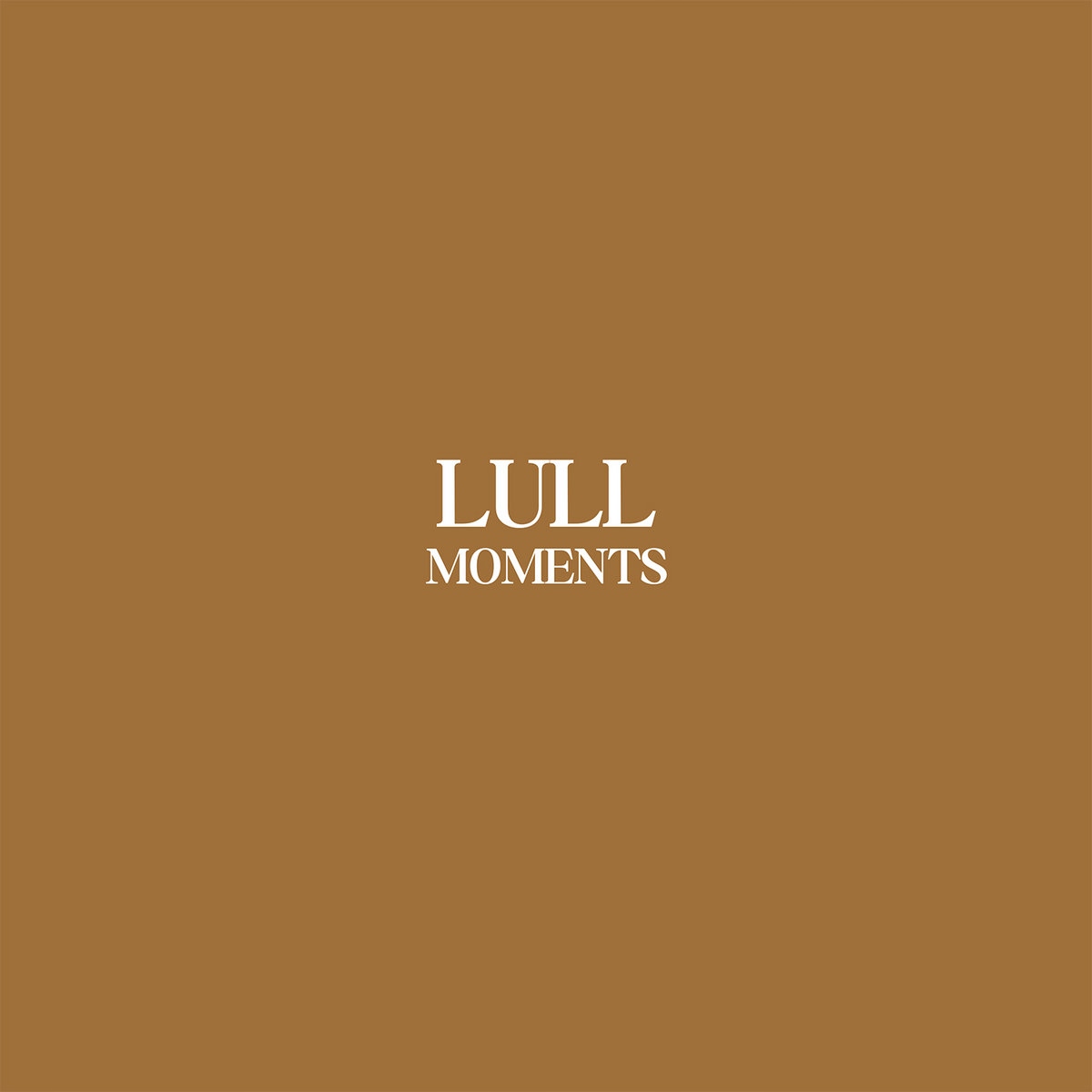 Lull Moments *lp