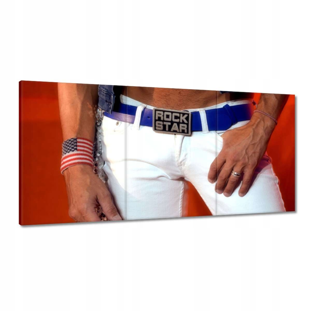 Obrazy 180x90 Rock star