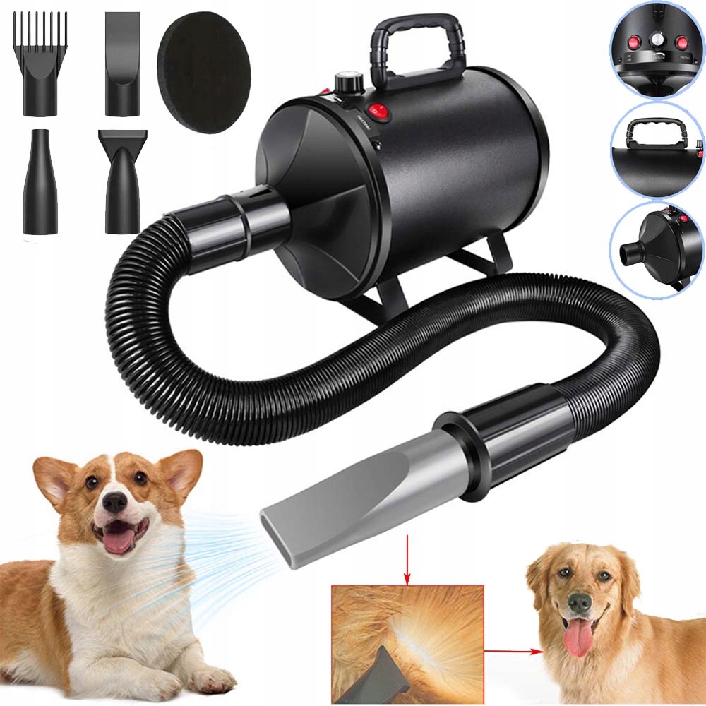 Suszarka Do Sierści Dla Psa I Kota Zwierząt Regulacja Nadmuchu Grooming