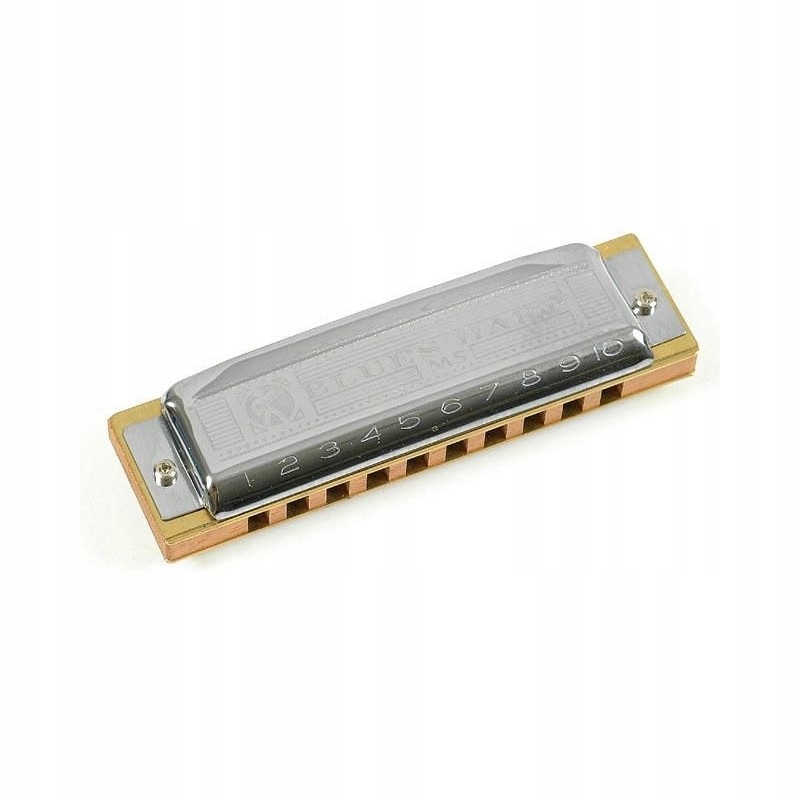 Hohner Blues Harp 532/20 Ms A Ústní harmonika