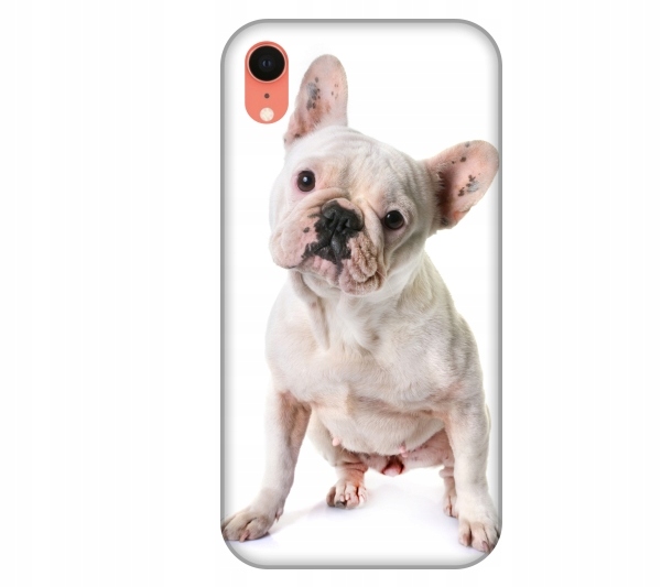 

Etui pokrowiec iPhone Xr Pies buldog