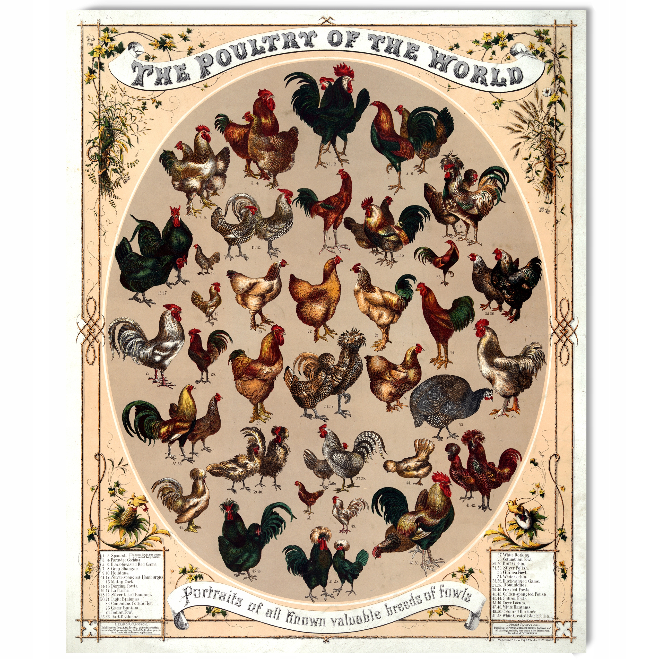 DIATOMIT ZIEMIA OKRZEMKOWA SORBENT 20KG / 40L GRATIS Stan opakowania oryginalne