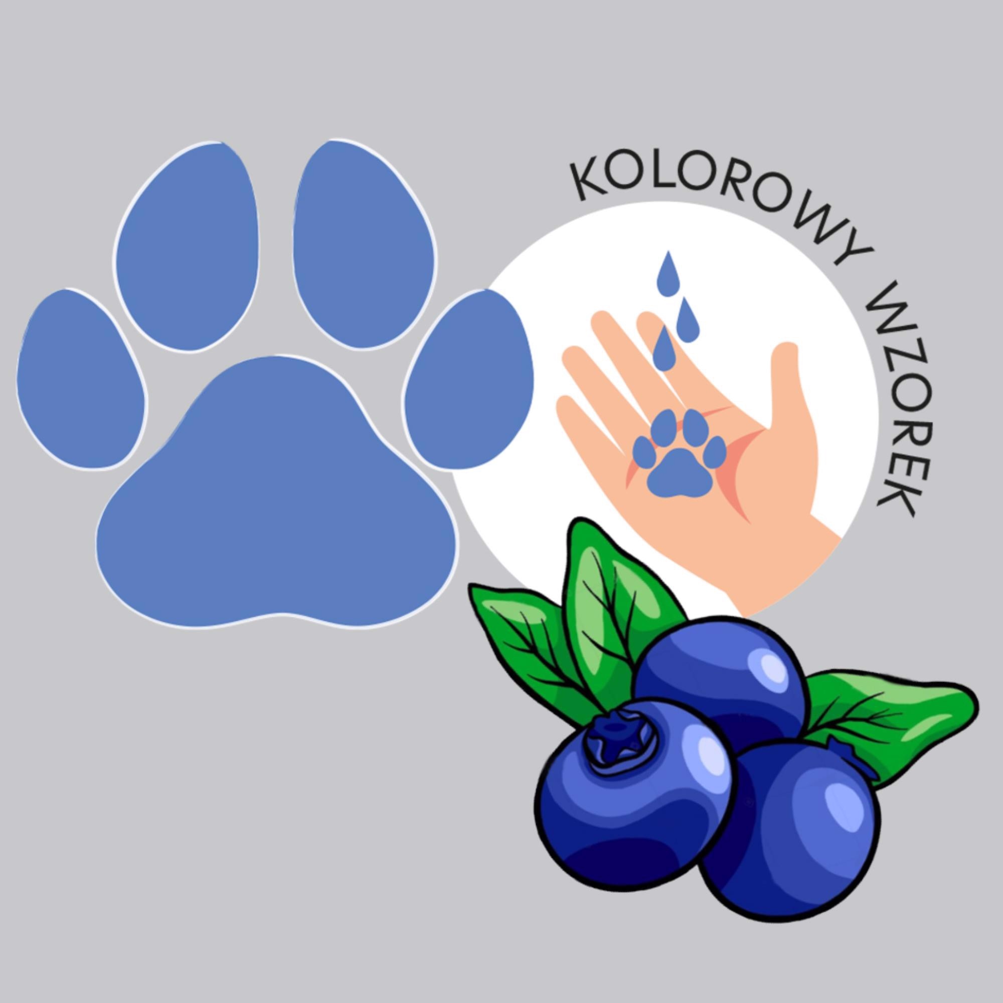 HISKIN PIANKA DO MYCIA RĄK 300ML JAGODA Marka inna marka