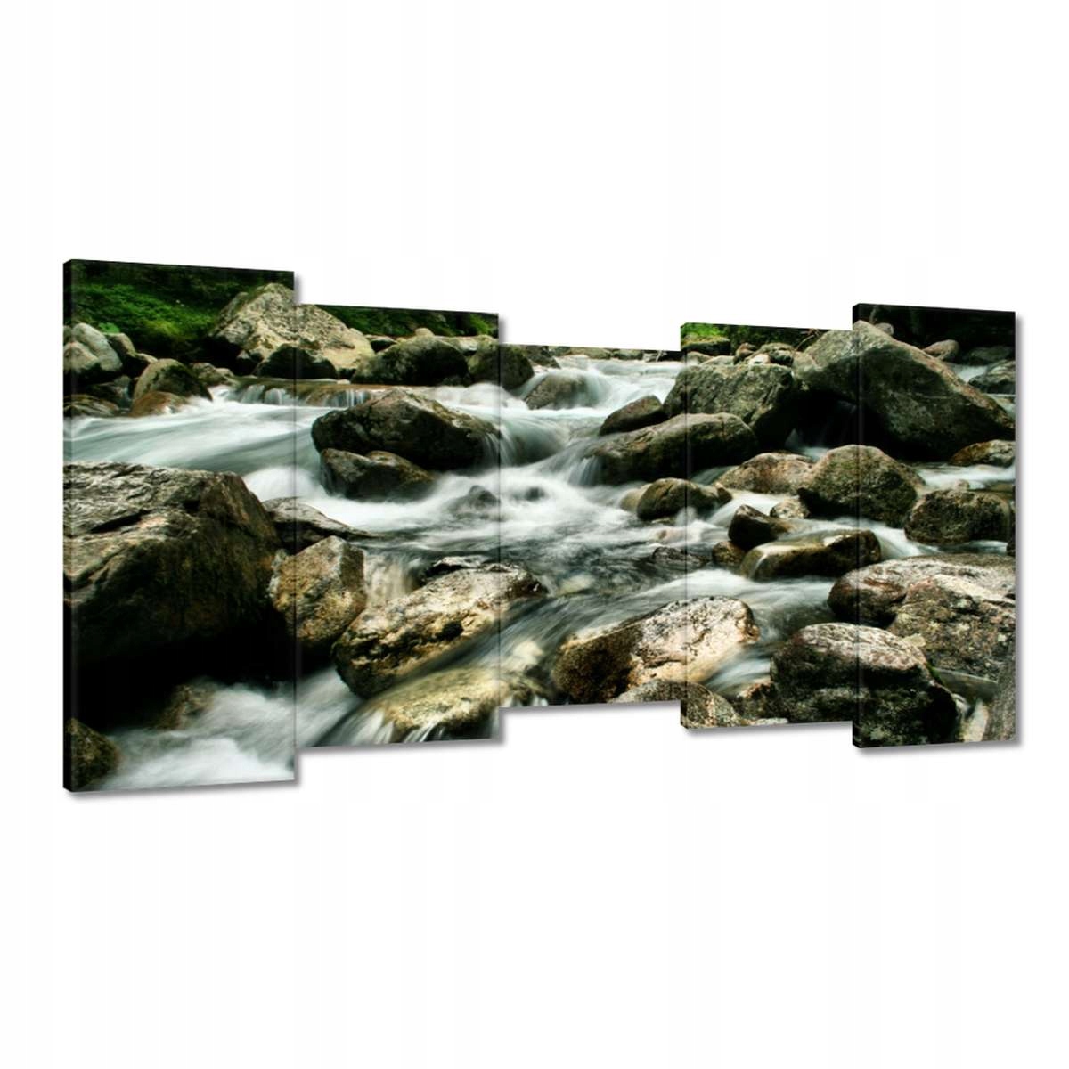 Obrazy 150x80 Tatry Polské hory Pohled