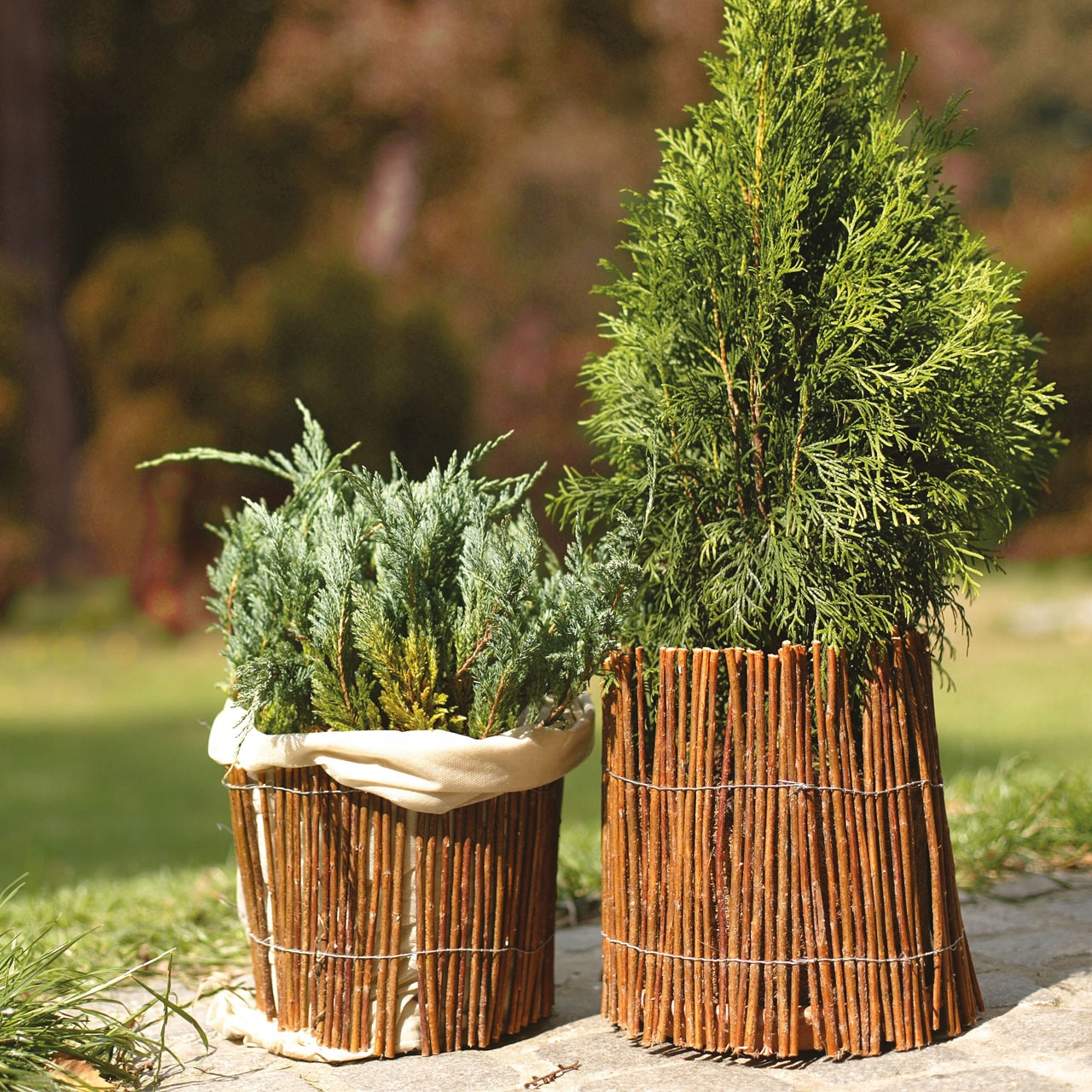 Mata wiklinowa, osłona na donice, rabaty, balkon, EKO, 50x300 cm PRODUCENT Producent inna