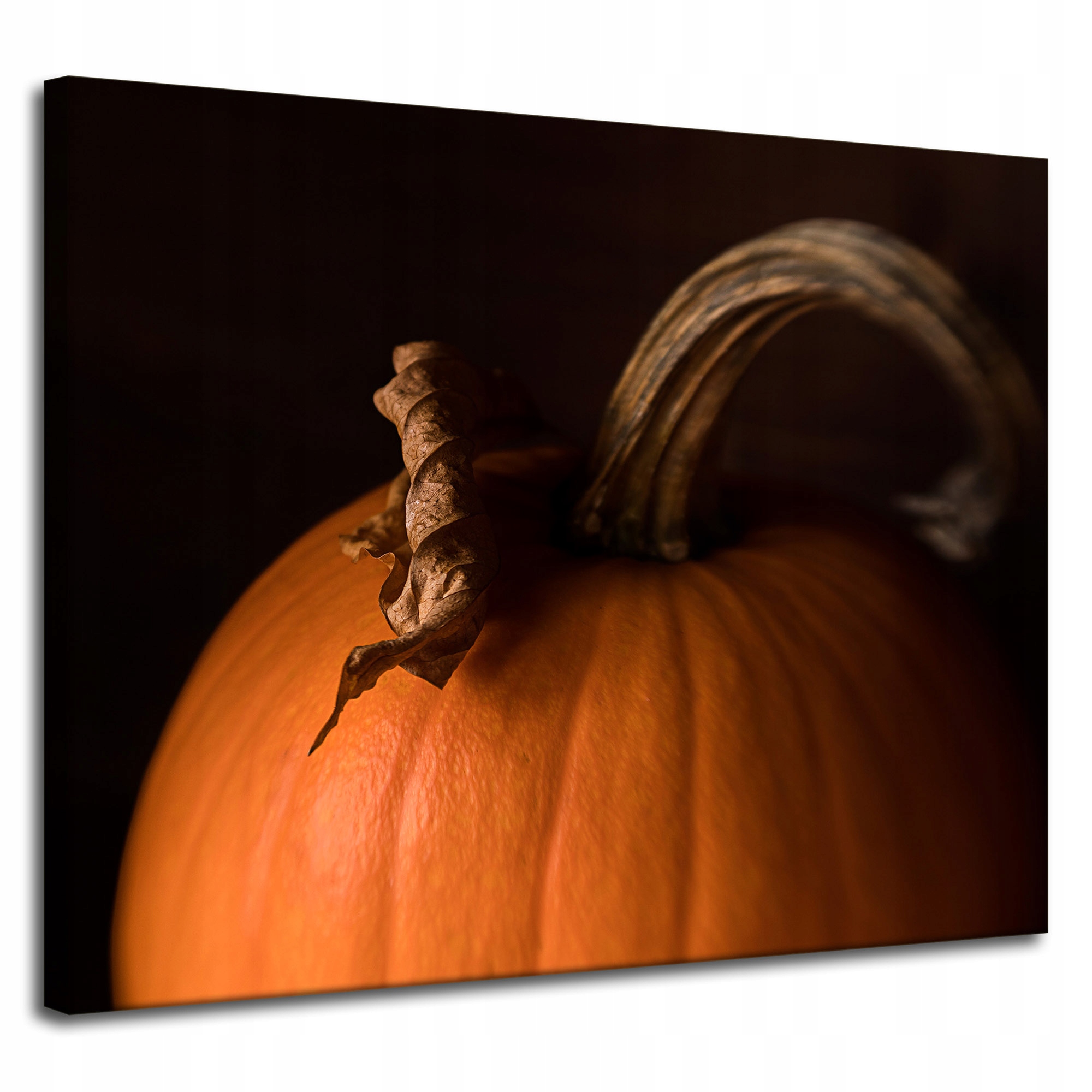 Obraz Cavnas Kuchyně Dýně na černém pozadí 100x80